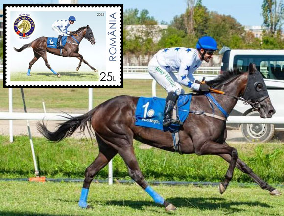 romania-25-11-2025-foto-2