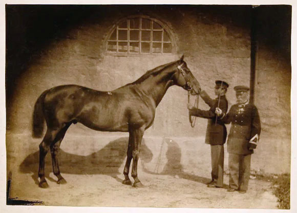 russia-2025-08-08-foto-3_1