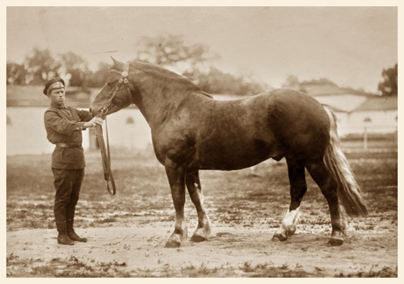 russia-2025-08-08-foto-4_1