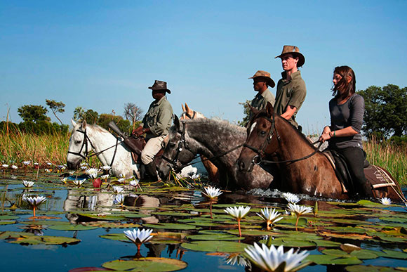 botswana-2017-11-05-photo1